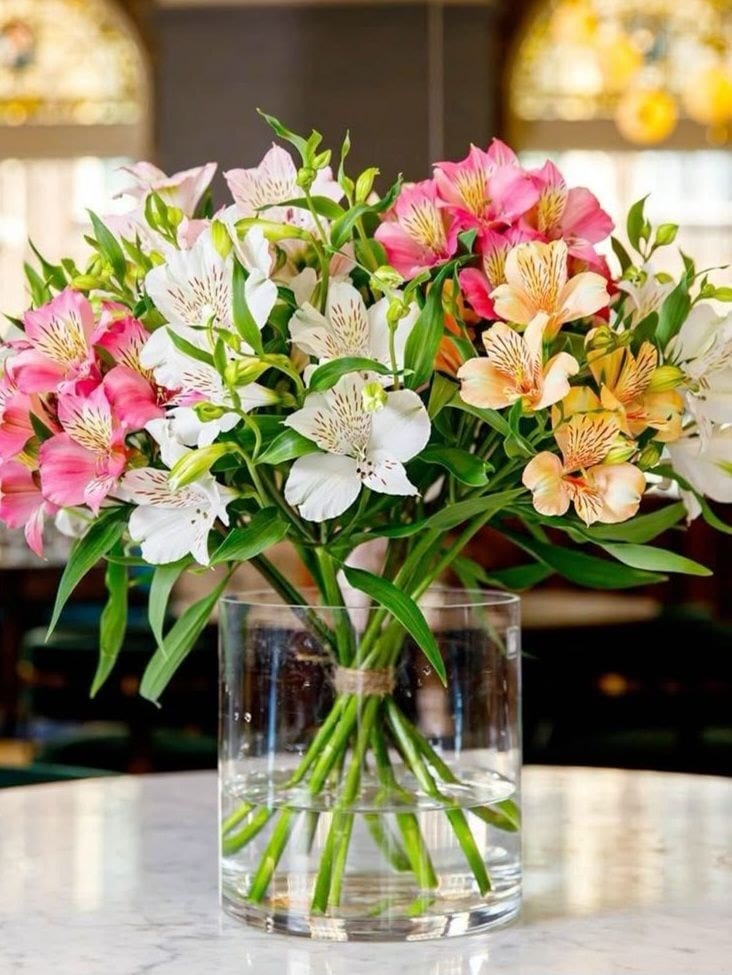 Blush Garden